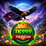 TK999 App