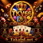 tv66 bd